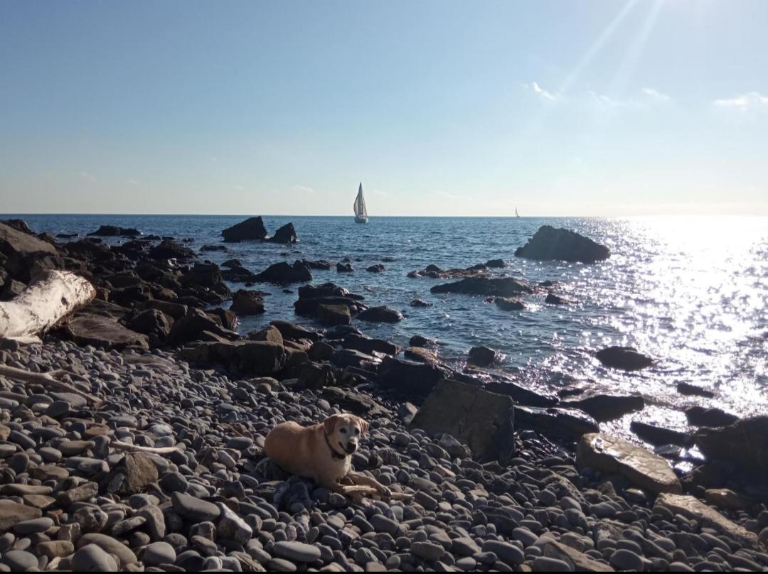 Cluxury-Torre Dei Saraceni Boutique Apt By The Sea Beach, Pool,Private Jacuzzi, Parking チェルヴォ エクステリア 写真